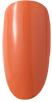 FW134