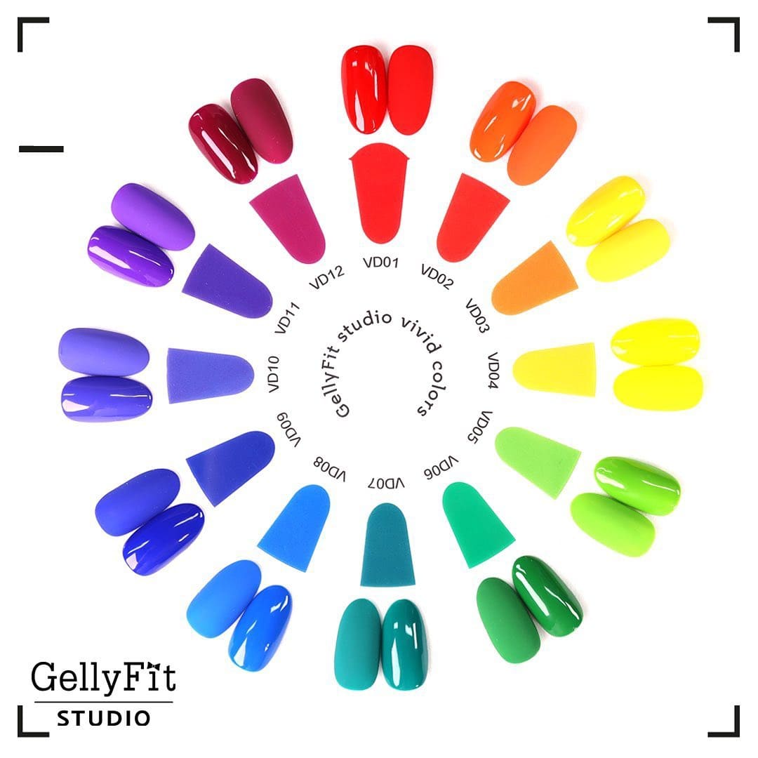 GellyFit Studio Vivid collection